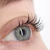 Брови и ресницы